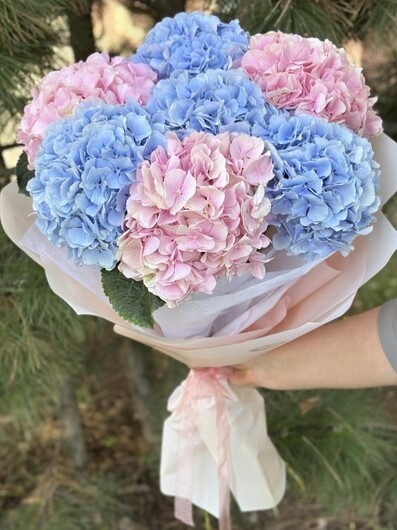 photo_1