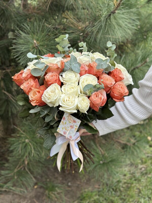 photo_1