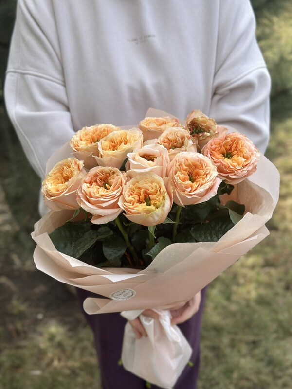 photo_1