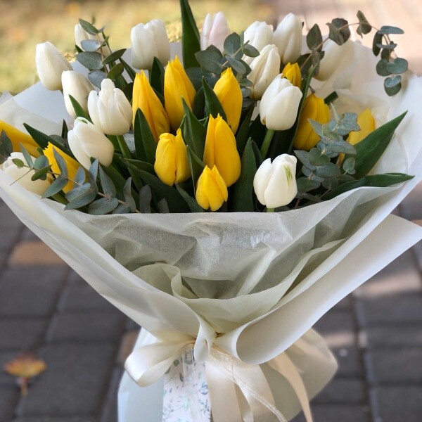 Букет из 25 бело-жёлтых тюльпанов с эвкалиптом