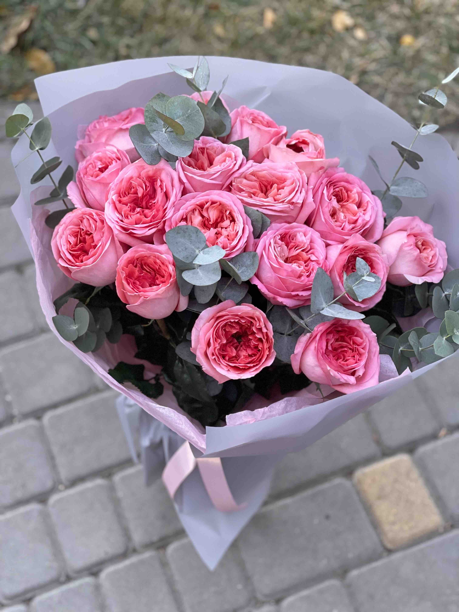 photo_2