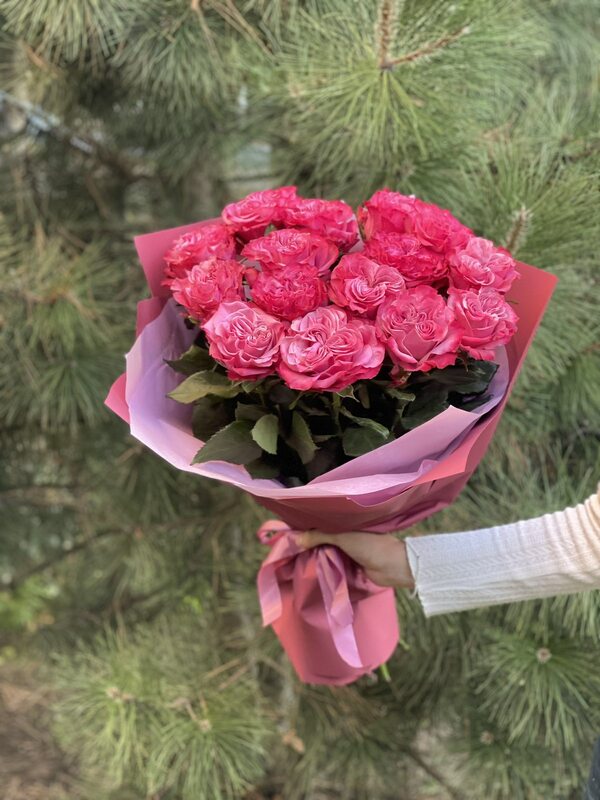 photo_1